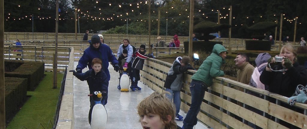 IceFactor Skateway Warwick